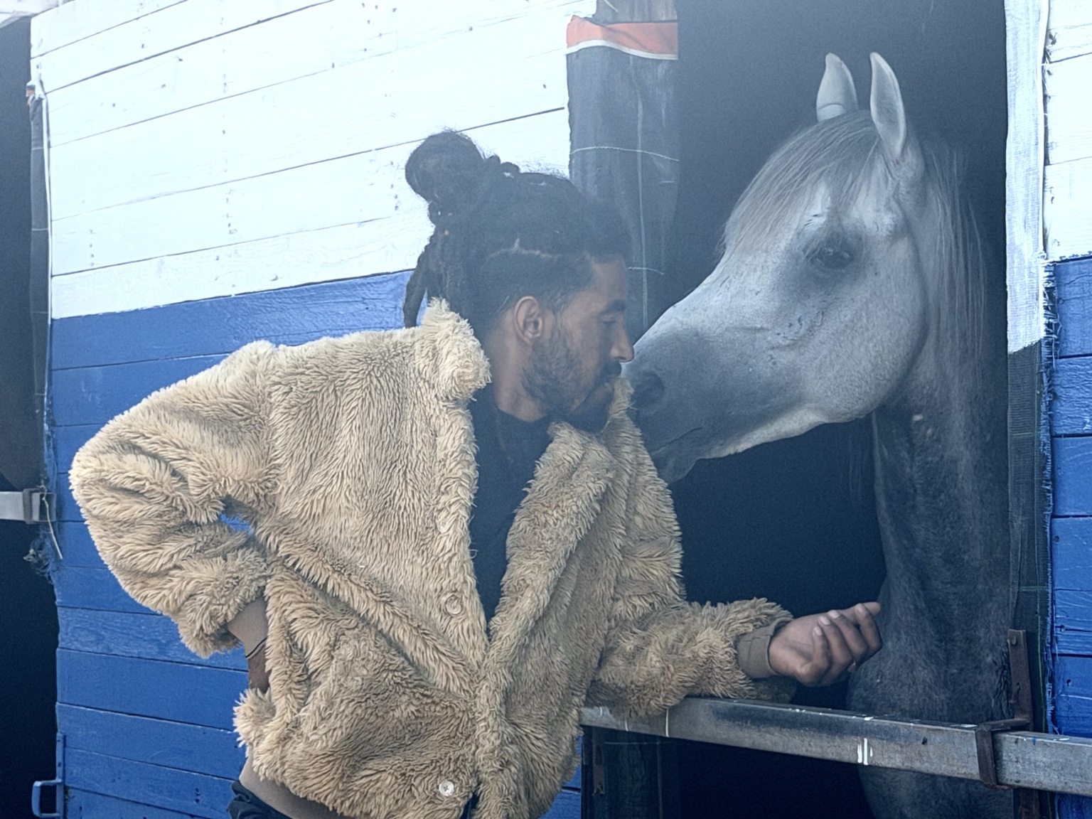 Greg Regragui et les chevaux