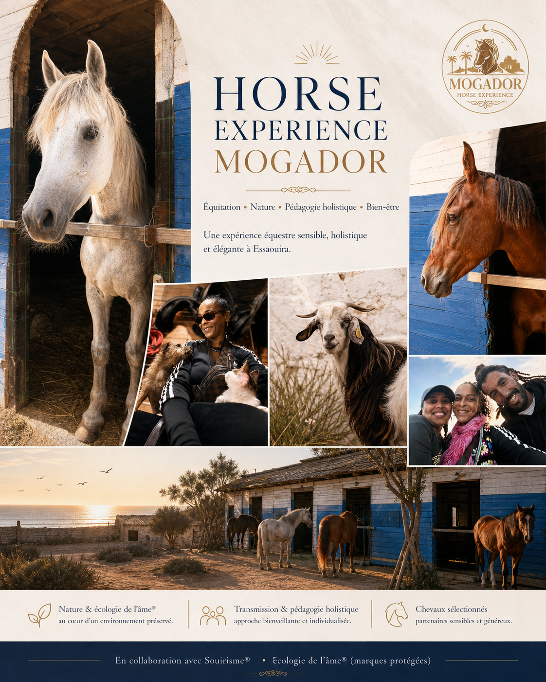 Horse Mogador Experience