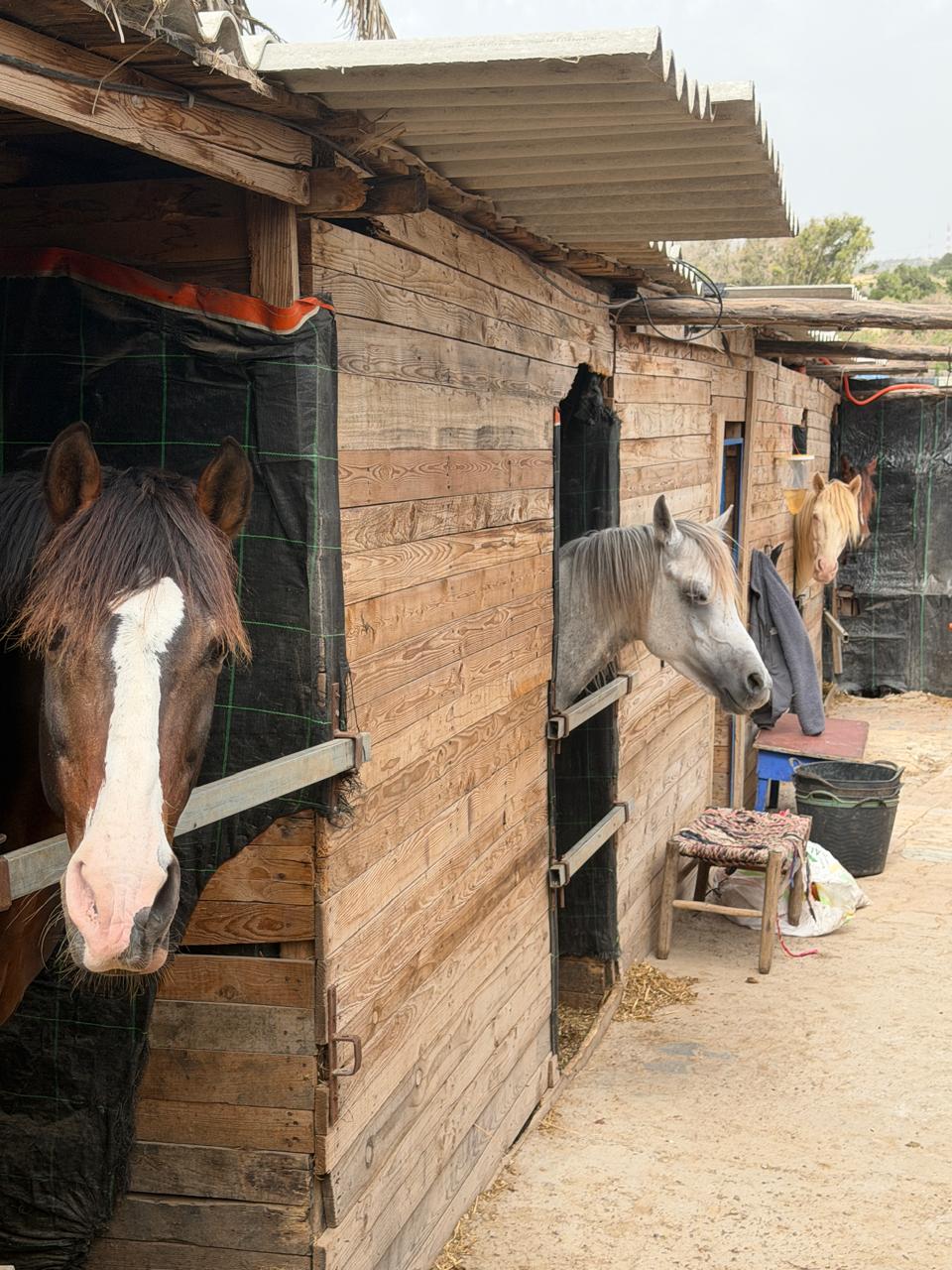 Écurie Horse Mogador